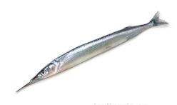 PESCADO AGUJA X KG