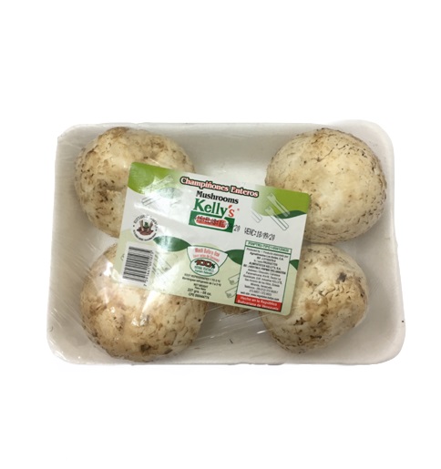 CHAMPIÑON ENTERO KELLYS 227GR