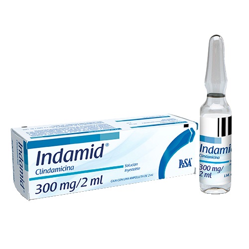 INDAMID CLINDAMICINA PISA 300MG 2ML 1INY