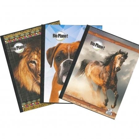 LIBRETA ESPIRAL FLOCON 6 MATERIAS