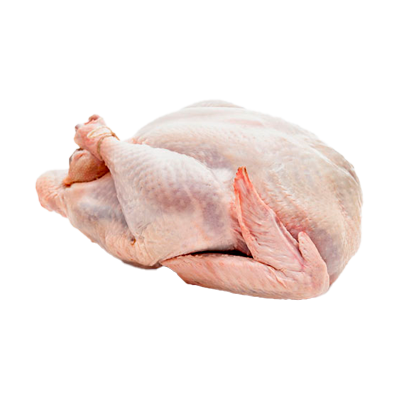 PAVO TIERNO x KG