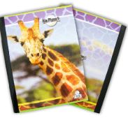 LIBRETA CARIBE 100H TESIS POSTALES