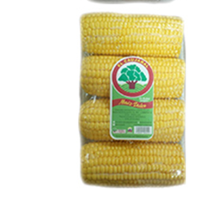 MAIZ DULCE EL CAUJARAL 4UND