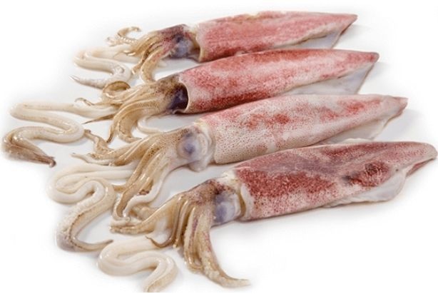 CALAMAR ENTERO PROVEMAR 500GR