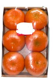 MANDARINA IMPORTADA X 6