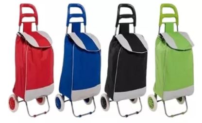 CARRO DE MERCADO EN LONA COLORES SURTIDOS