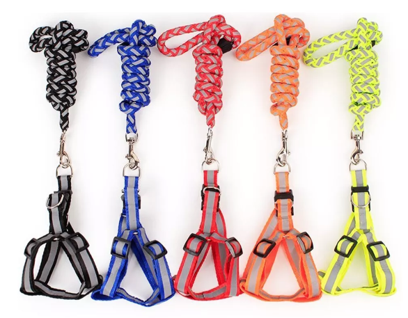 CORREA C/PECHERA MERCADEU C/PASEADOR TALLA S