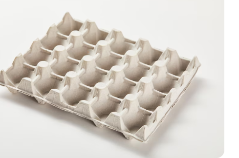 CAJA DE HUEVO VACÍA