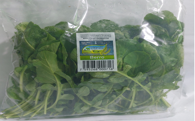 BERRO PARADIS FRESH 100GR 