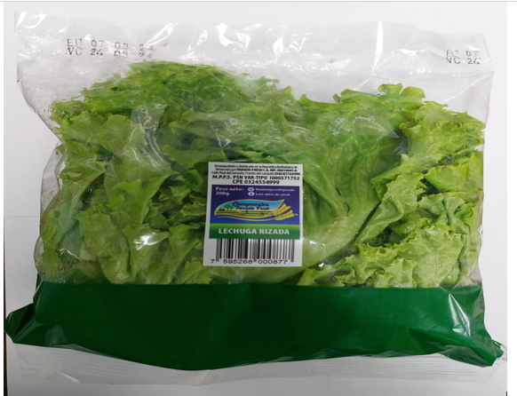 LECHUGA RIZADA PARADIS FRESH 200GR 