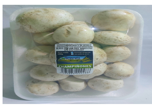 CHAMPIÑONES PARADIS FRESH 300GR