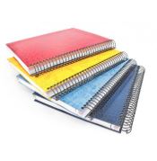 LIBRETA POINTER 100H ESPIRAL