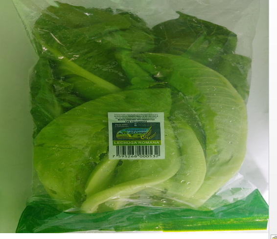 LECHUGA ROMANA PARADIS FRESH 500GR