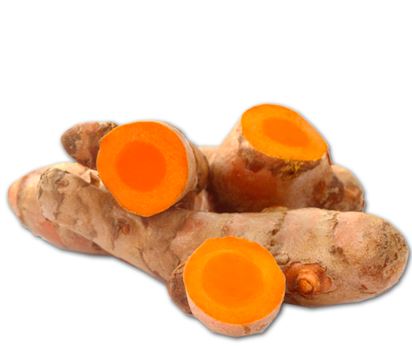 CURCUMA X KG