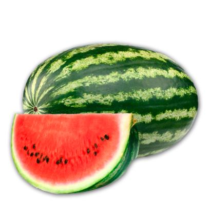 PATILLA X KG