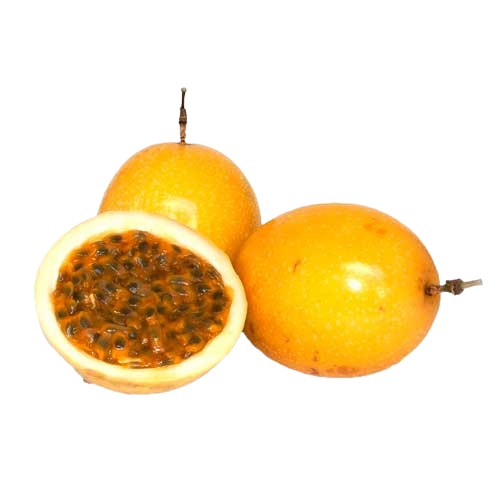 PARCHITA CRIOLLA X KG