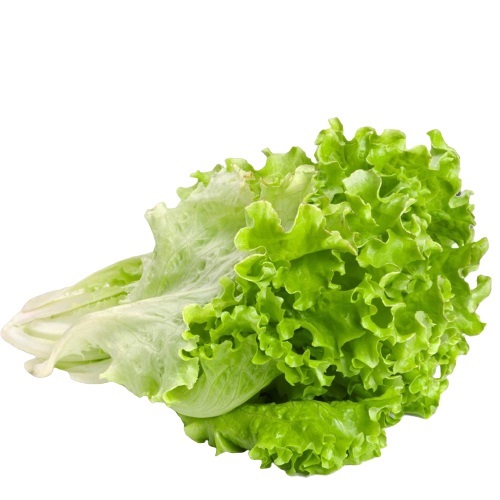 LECHUGA CRIOLLA X KG