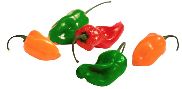 AJI PICANTE X KG