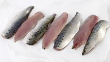 SARDINA EN FILET X KG