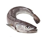 MERLUZA ENTERA FRESCA X KG