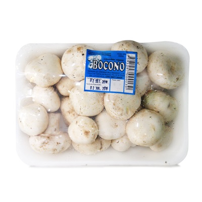 CHAMPIÑON FRESCO BOCONO 450GR