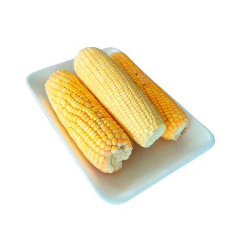 JOJOTO PLANSUAREZ X 3 UND