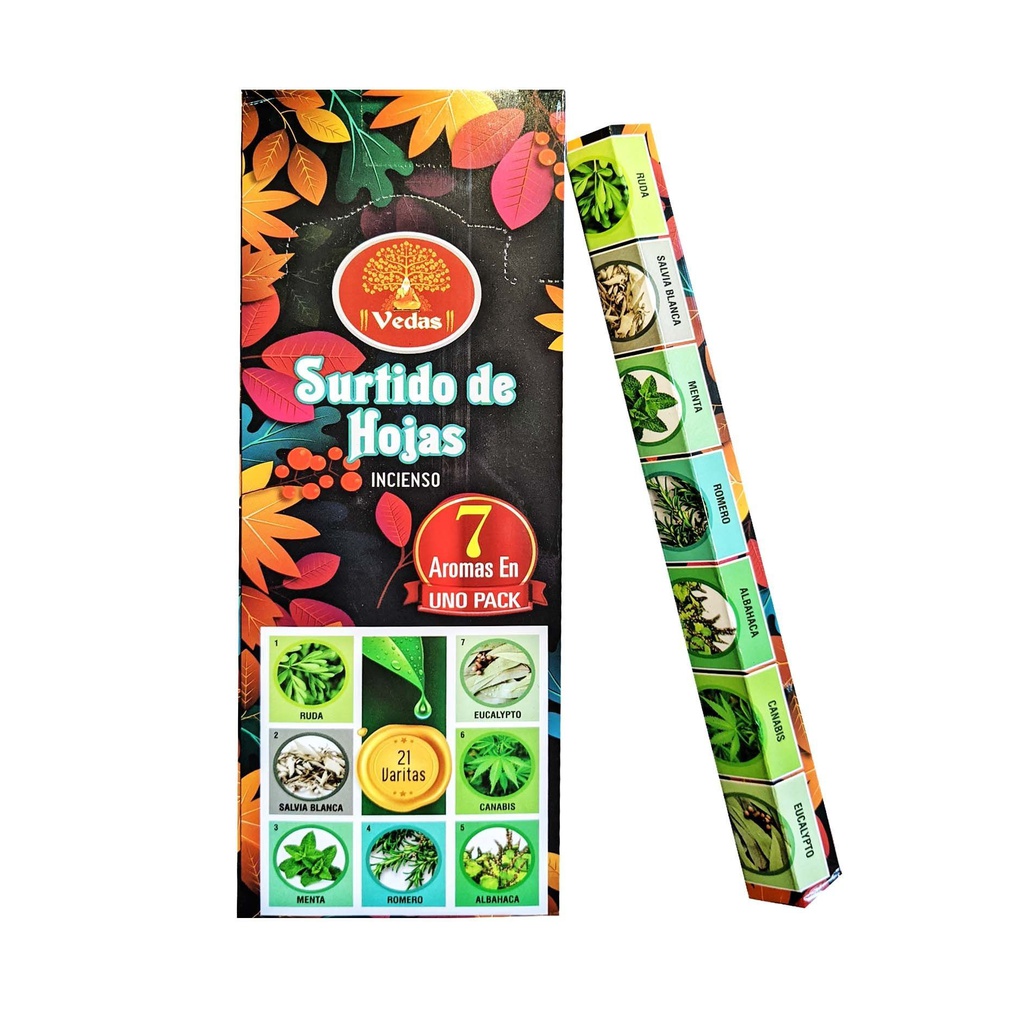 INCIENSO SURTIDO HEX