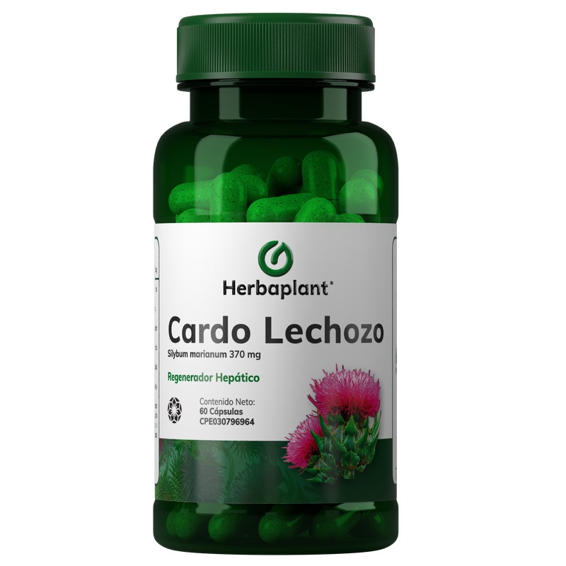 CARDO LECHOZO 370MG X 60CAPS HERBAPLANT