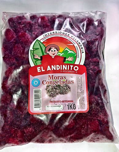 MORAS EL ANDINITO 1 KG CONGELADAS