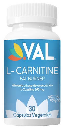 L-CARNITINE 500MG X 30TAB VAL