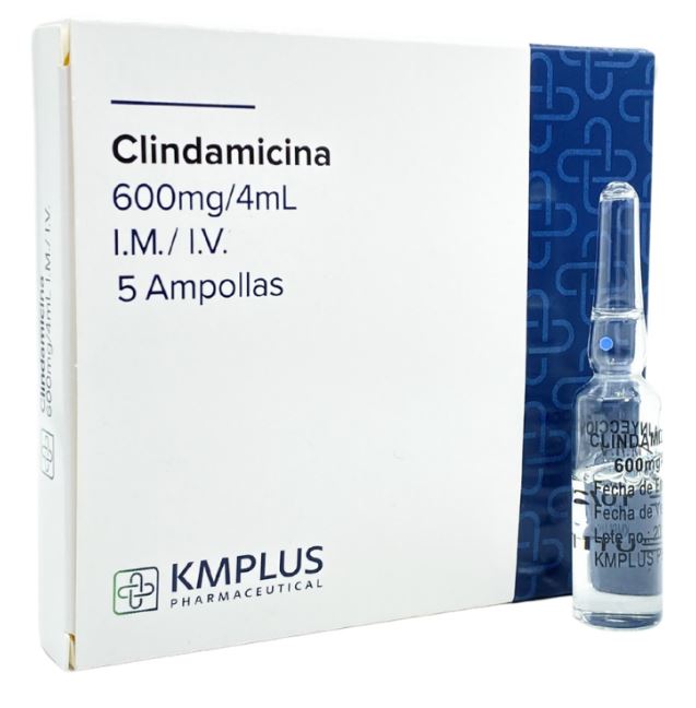 CLINDAMICINA KMPLUS 600MG/4ML X1AMPOLLA