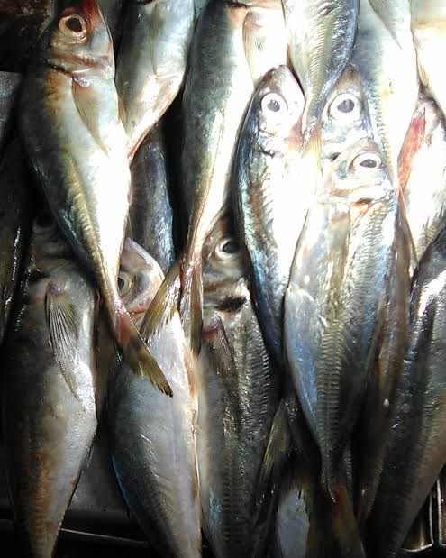 CATACO  X KG AL VACIO