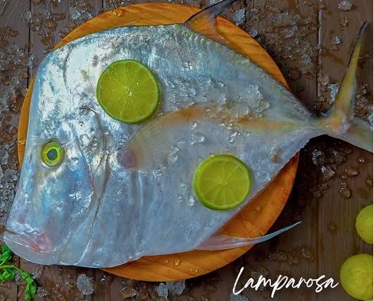 LAMPAROZA FRESCO X KG PLANSUAREZ BANDEJA