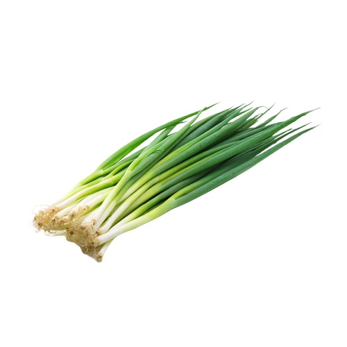 CEBOLLIN EN MANOJO  X KG PLANSUAREZ